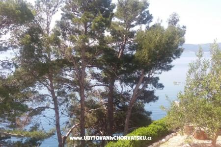 Apartmaji Vesna  - Brela foto 4