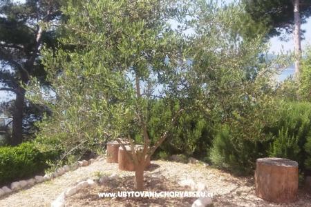 Apartmaji Vesna  - Brela foto 5