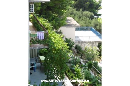 Apartmaji  Ivo Pikolo foto 4