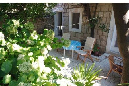 Apartma Milu foto 3