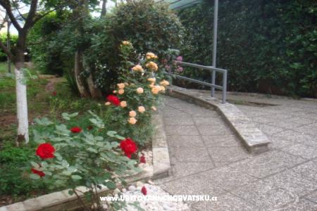 Apartmaji Arijana foto 4