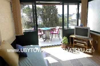 Apartma Mika foto 4
