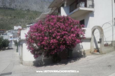 Apartma Pero foto 3