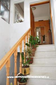 Apartmaji Marija foto 4