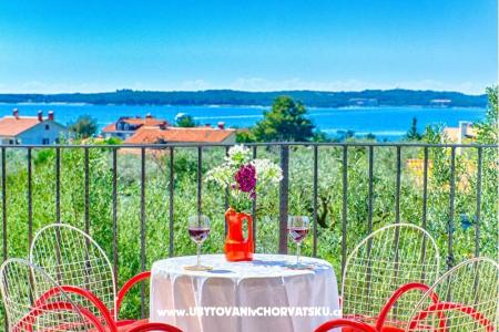Apartmaji Amalia Fažana foto 2