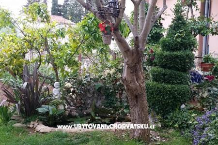 Apartma Ljuba foto 2