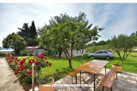 Apartmaji Miluška foto 5