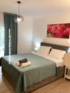 Apartmaji Helena foto 3