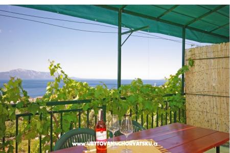 Apartmaji i sobe Maslina foto 5