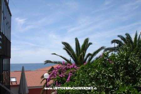 Apartmaji Lasic foto 2