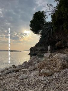Apartmaji NIKOLA foto 5