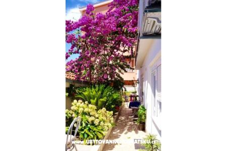 Apartmaji Jerković Gradac foto 5