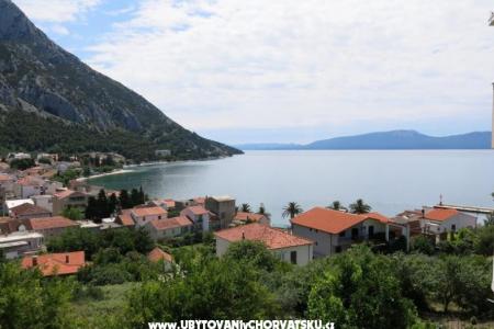 Apartmaji Gradina foto 5