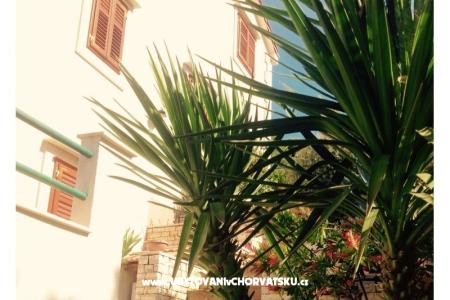 Apartmaji Belić  foto 5