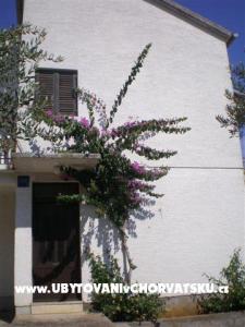 Apartmaji Beroš foto 2