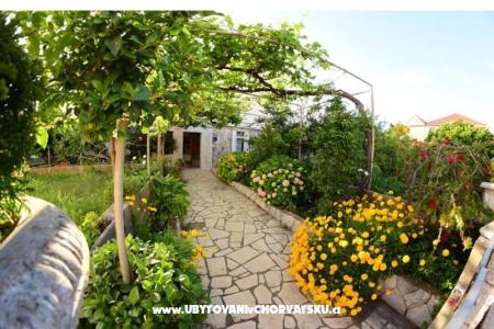 Apartmaji  Mate Slavic otok Hvar Hrvaška