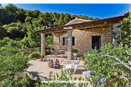 Hiša Patrizia foto 4