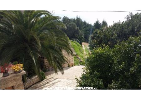 Počitniški dom Rubinić foto 4