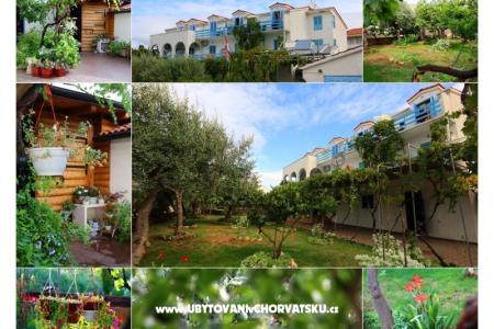 Jadranka Franičević otok Hvar Hrvaška