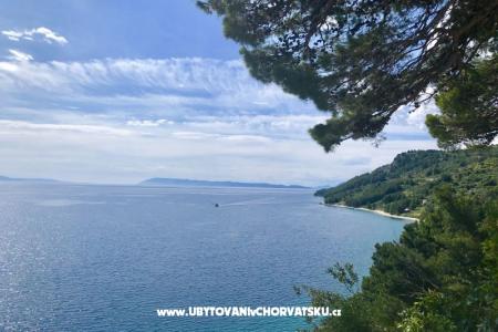 Apartmaji  Ines Igrane Hrvaška
