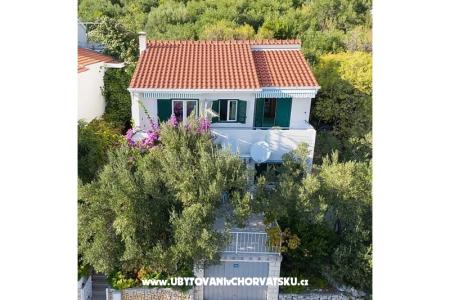 Villa Maslina Igrane Hrvaška