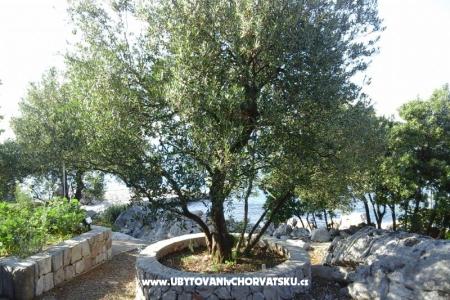 Apartma Smiljana foto 2