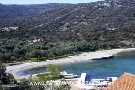 Apartmaji Mirjana  foto 3
