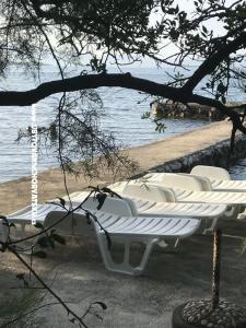 Apartma Sunshine Drace & Trstenik Hrvaška