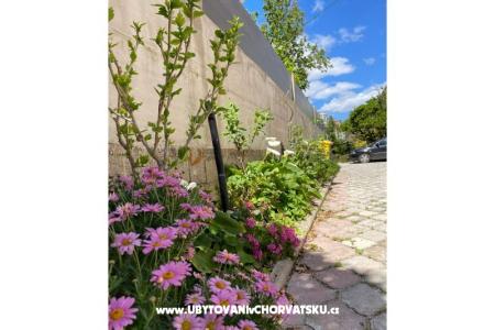 Apartma Perić foto 4