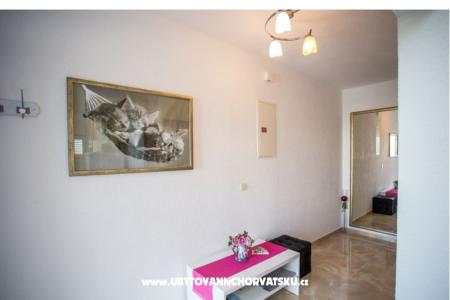 Apartmaji Duje foto 2