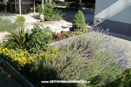Apartmaji Grgin foto 5