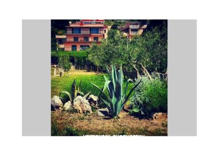 Apartmaji Irina, Duće-Omiš foto 2