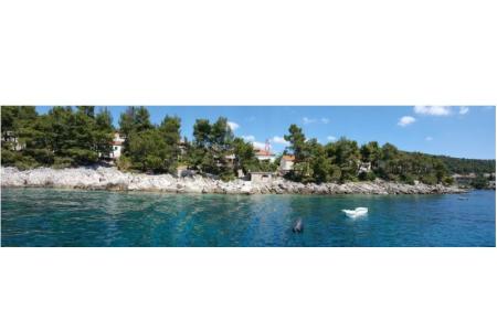 Počitniški dom Villa Antea foto 3