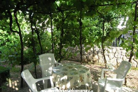 Apartma Neda foto 2
