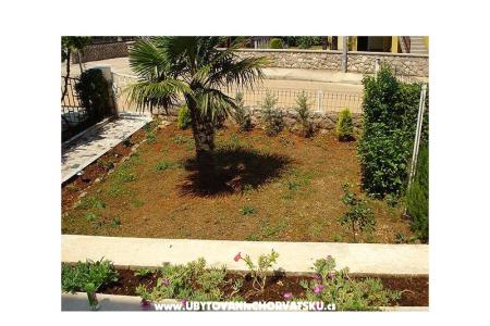 Apartmaji Dijana foto 3