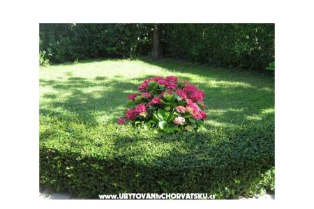 Apartmaji Iva&amp;Ivan foto 3