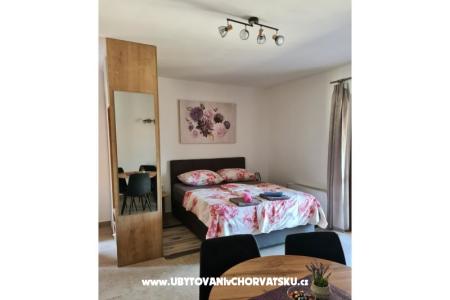 Apartmaji Petrović foto 4