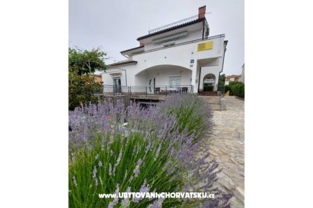 Hiša Antica  otok Krk Hrvaška