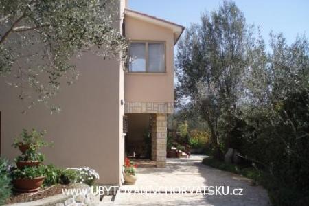 Apartmaji Kornic foto 2