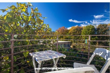 Apartma Rasopasno Lori foto 3