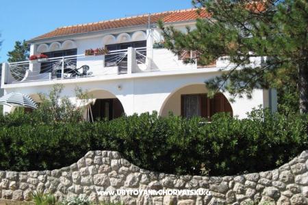 Apartmaji Zana foto 3