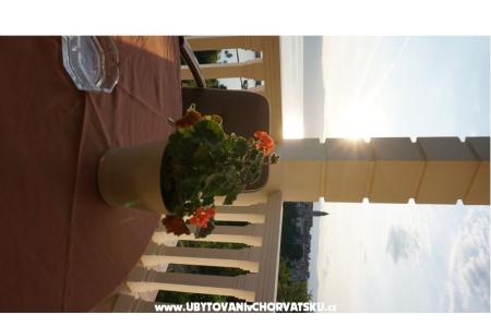 Villa Mirela B&B foto 4