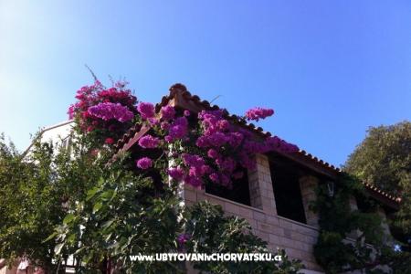 Villa Paradise foto 5
