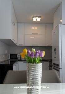 Apartma ARIA foto 3