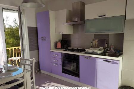 Apartmaji Maja foto 2