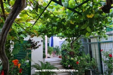 Apartmaji Vinea foto 2