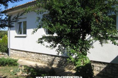 Apartmaji Croatia foto 3