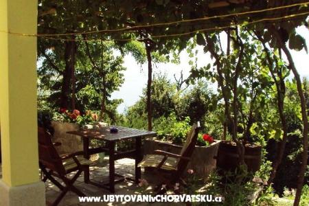 Apartma Barišić foto 5