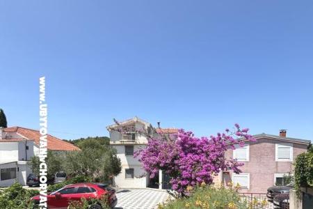 Apartmaji Kovačić otok Murter Hrvaška