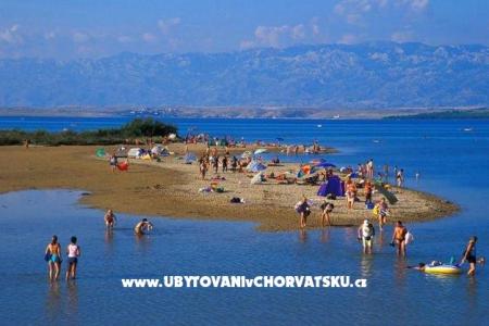Apartmaji Pekić foto 2